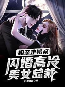 相亲走错桌,闪婚高冷美女总裁